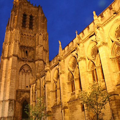 Visite guidée nocturne de la Cathédrale Saint-Etienne