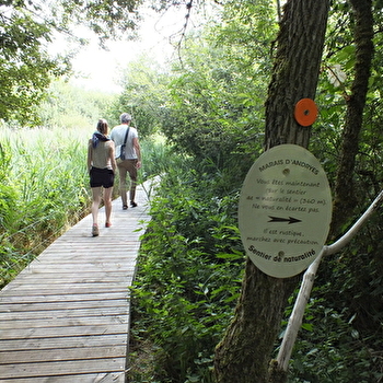 Une balade sensorielle et dépaysante au coeur d'un site naturel unique et préservé - ANDRYES