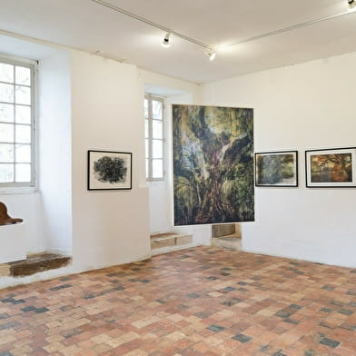 Exposition ' Sève '