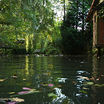 Parc du Moulin à Tan et Serres de Collections Tropicales - SENS