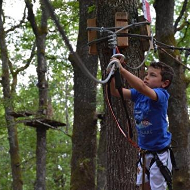 Viens vivre une aventure authentique au cœur d’une forêt de chênes centenaires.