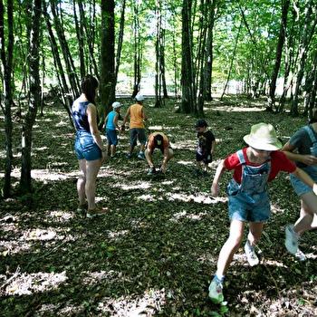 Sauras-tu retrouver la formule magique ? - VILLENEUVE-LES-GENETS