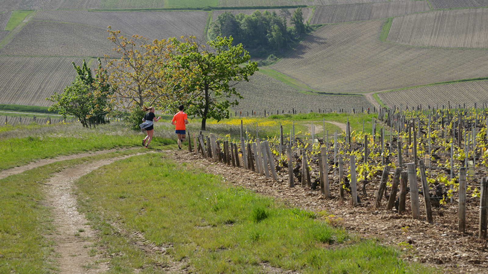 Trail des Treilles