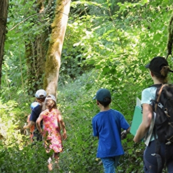 Randonnée commentée : Le long de la Cure entre rivière, forêt et bocage - PIERRE-PERTHUIS
