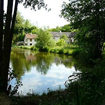Une jolie balade pédagogique au fil de l'eau ! - CHARNY OREE DE PUISAYE