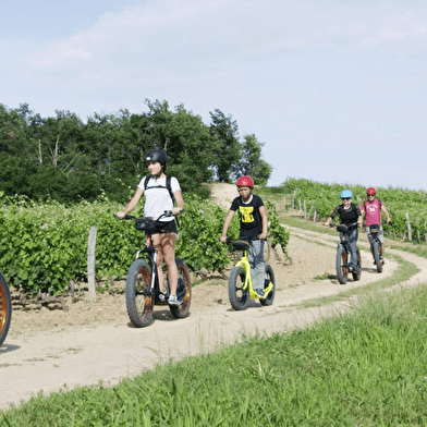 Escapades Insolites en E-Trott dans les vignobles de Saint-Bris et d'Irancy