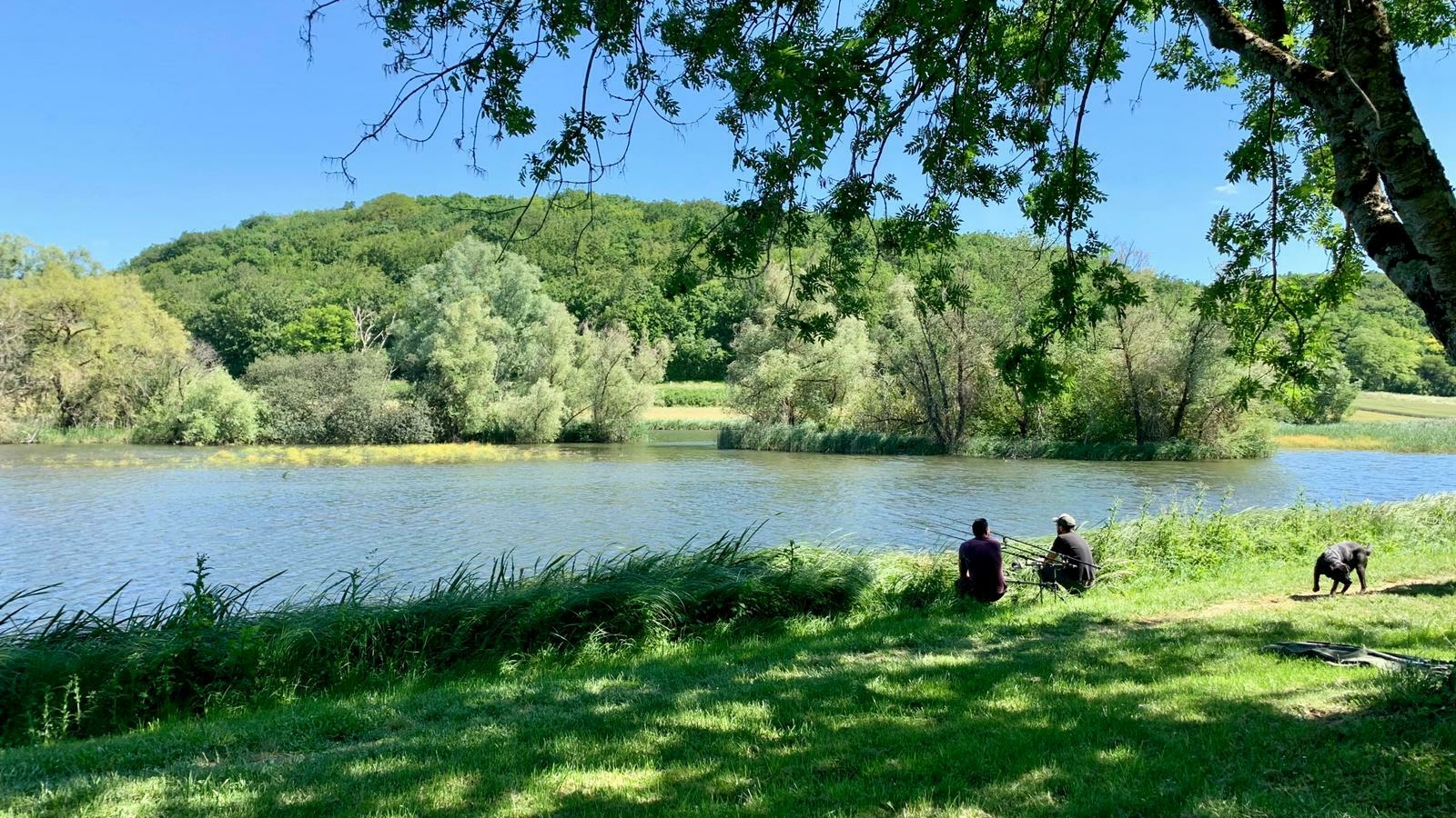 Le Marais d'Andryes