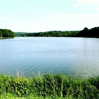  L'étang de Moutiers