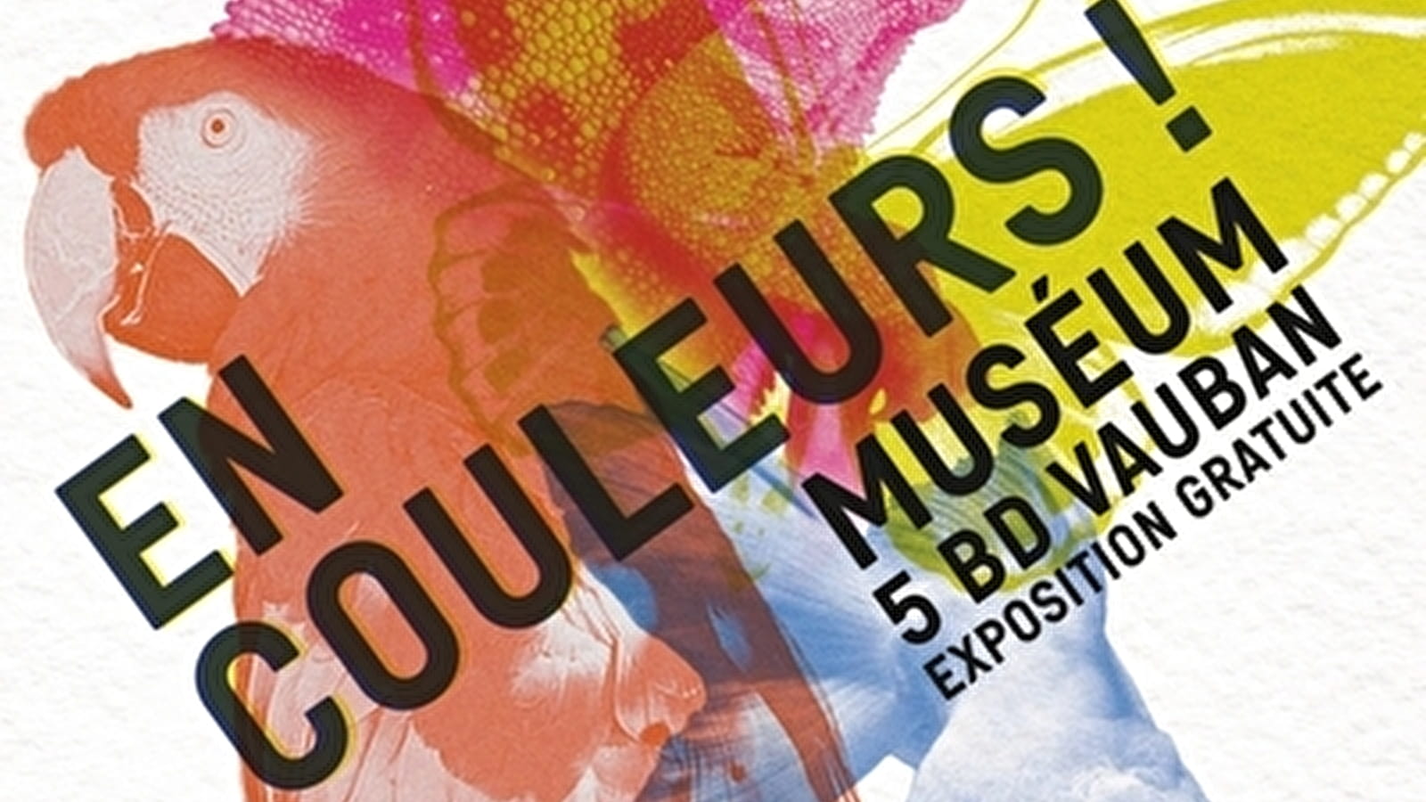 En couleurs !