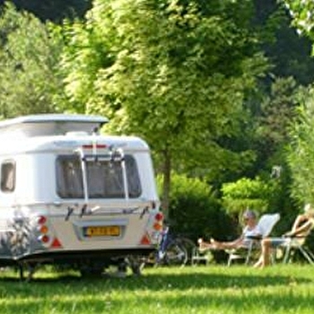 Camping Les Platanes - CHARNY OREE DE PUISAYE