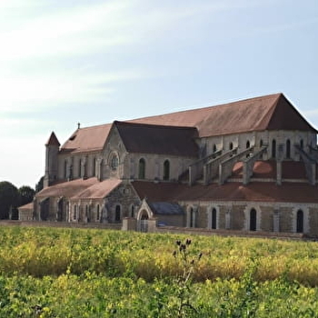Visites guidées - PONTIGNY