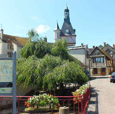 Viens résoudre le mystère 