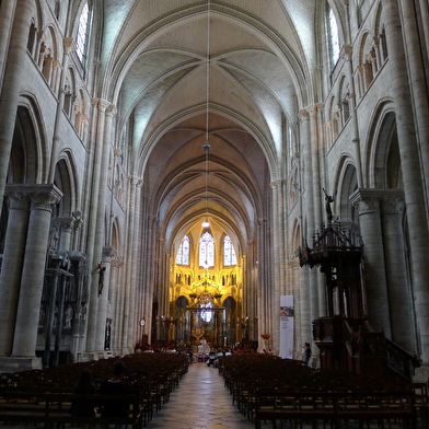 Visite guidée nocturne de la Cathédrale Saint-Etienne