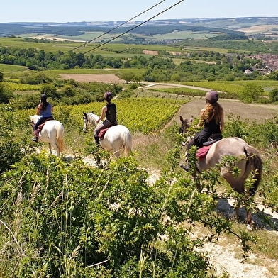 Ferme équestre de l'Equi'Libre 