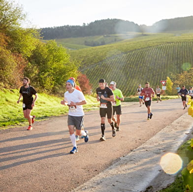 Marathon de Chablis 2023