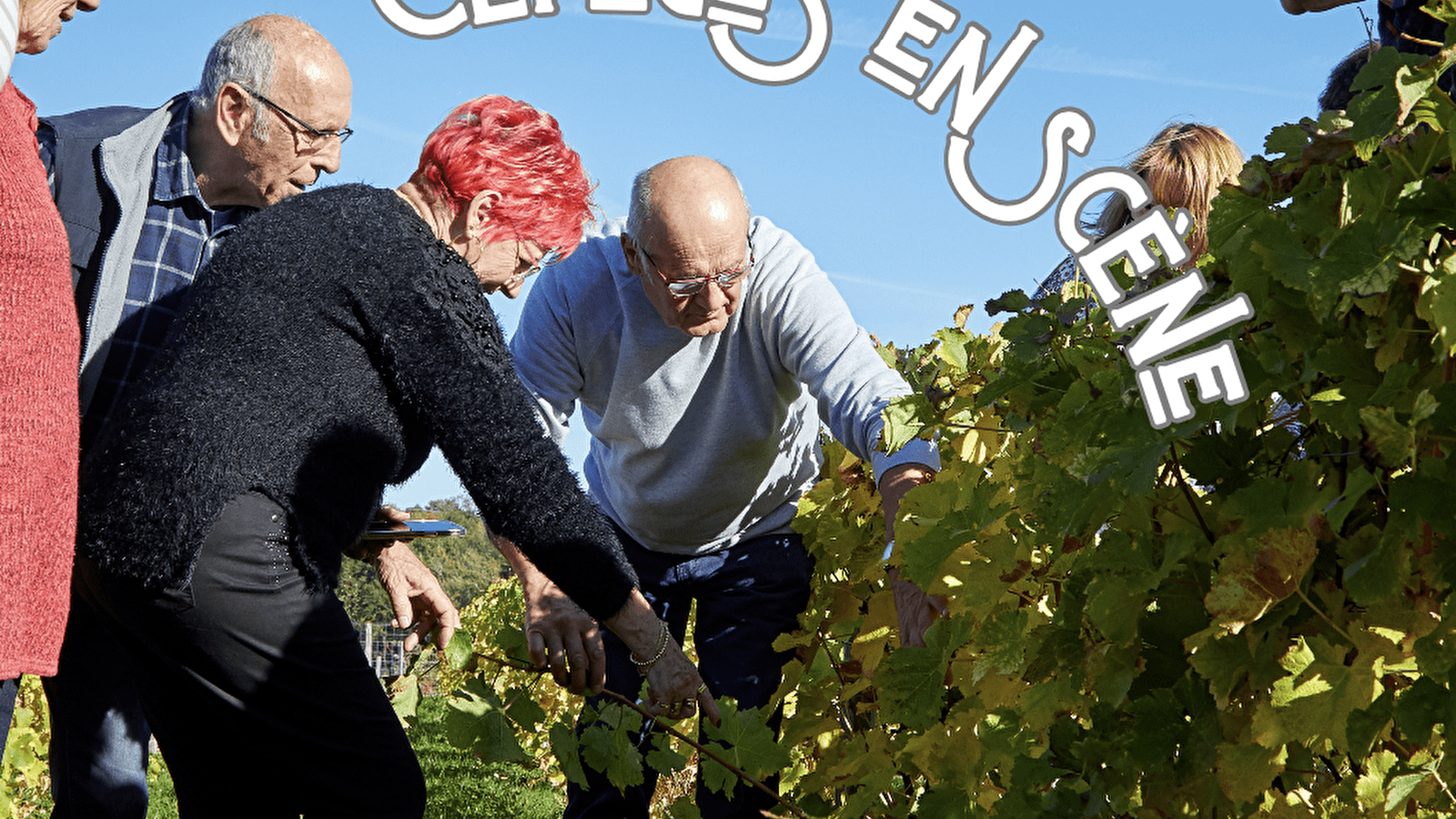 Cépages en Scène