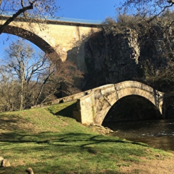 Balade 'Le long de la Cure entre rivière, forêt et bocage' - PIERRE-PERTHUIS