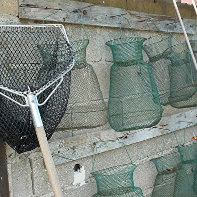 Un endroit idéal pour t'initier à la pêche à la truite, dans un cadre naturel préservé.