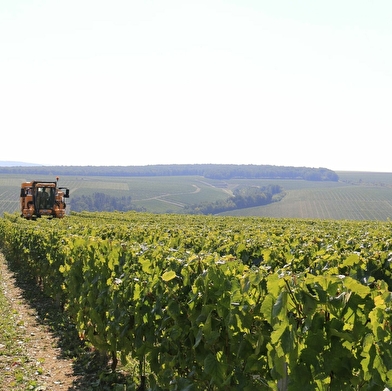 Domaine de Prenant - Domaine Chavard