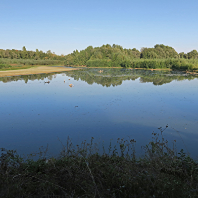 Réserve ornithologique de Bas-Rebourseaux