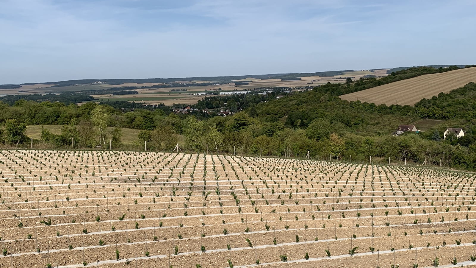 Domaine des Sénons