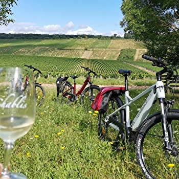 Cycle Divin - VINCELOTTES