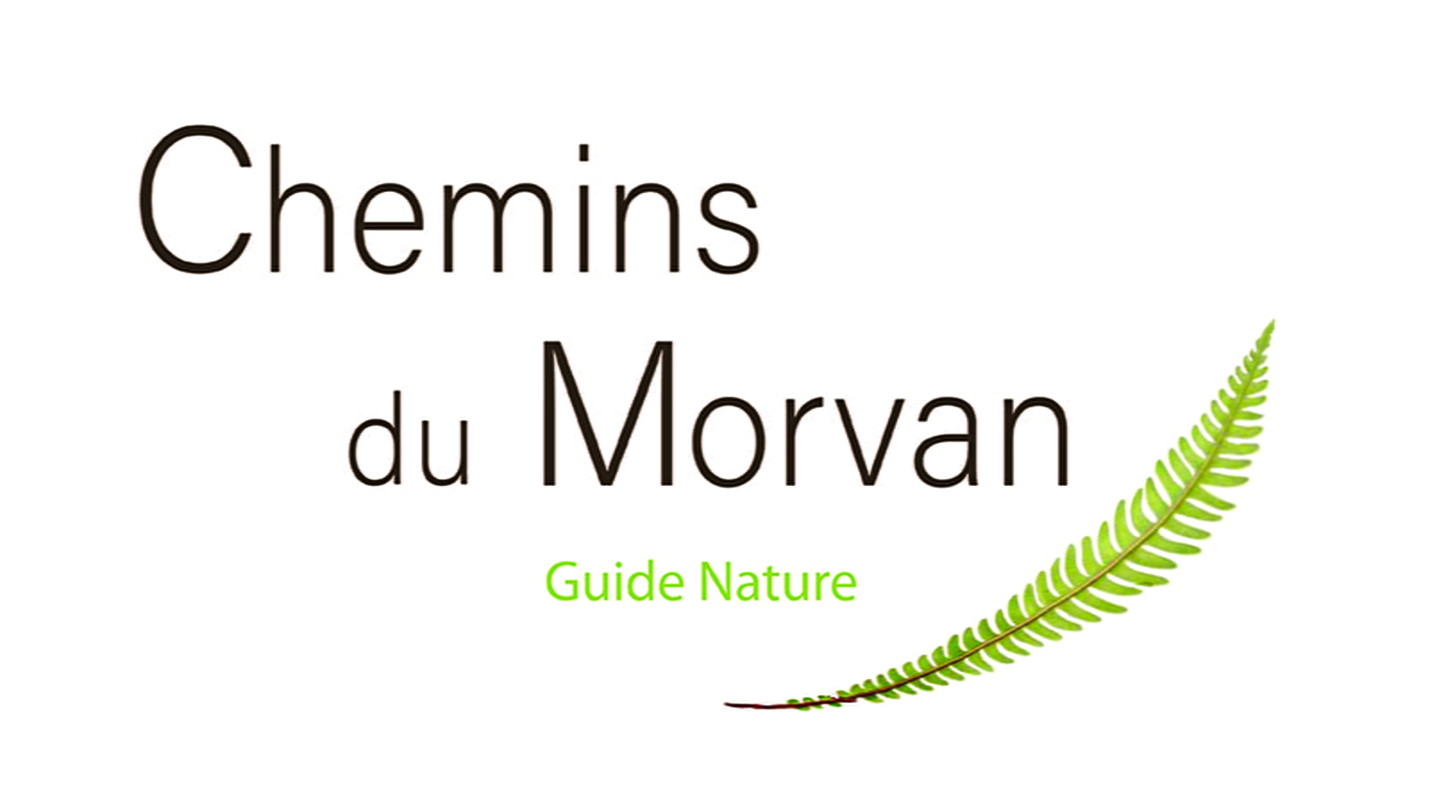Thibault Fourrier - Chemins du Morvan