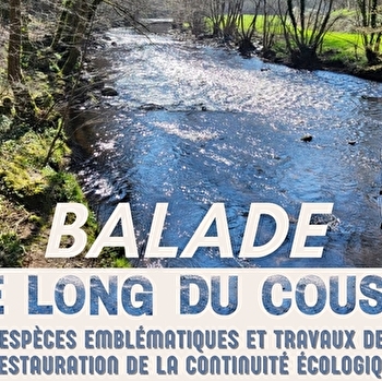 Balade 'Le long du chemin bleu' - AVALLON