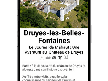 Découvre un château fort du Moyen Âge avec tes parents - DRUYES-LES-BELLES-FONTAINES