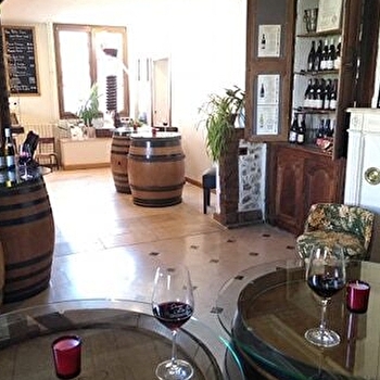 Le vin et la vigne n'auront plus de secrets pour toi - COULANGES-LA-VINEUSE