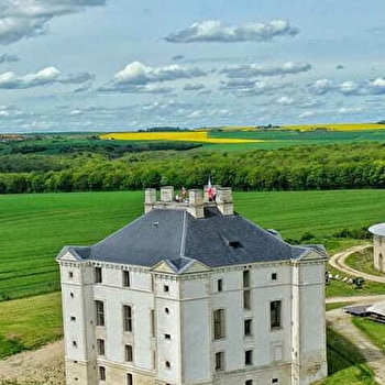 Château de Maulnes - CRUZY-LE-CHATEL