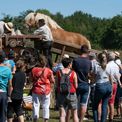 Découvre la ferme et les moissons, comme autrefois !