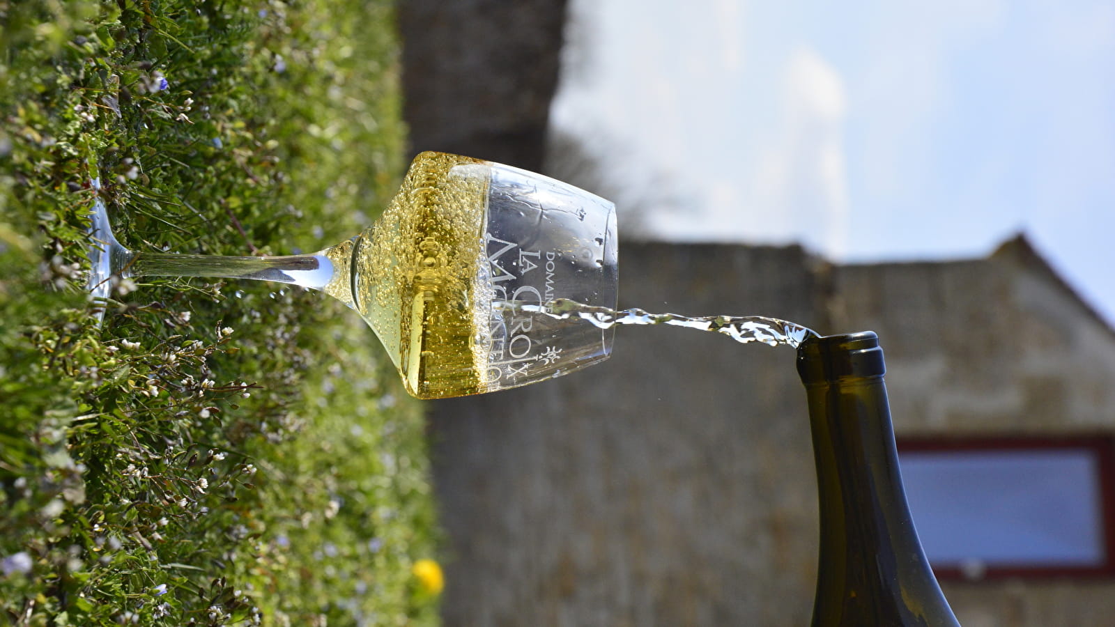 Dégustation Chardonnay du Monde