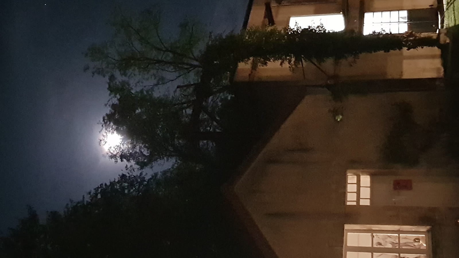 La Nuit des Musées
