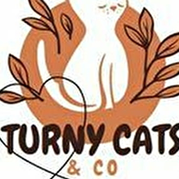 Randonnée pédestre La Charmante - TURNY