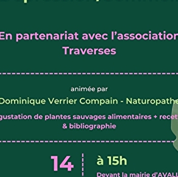 Découvertes des plantes médicinales de la dépression et du sommeil - AVALLON