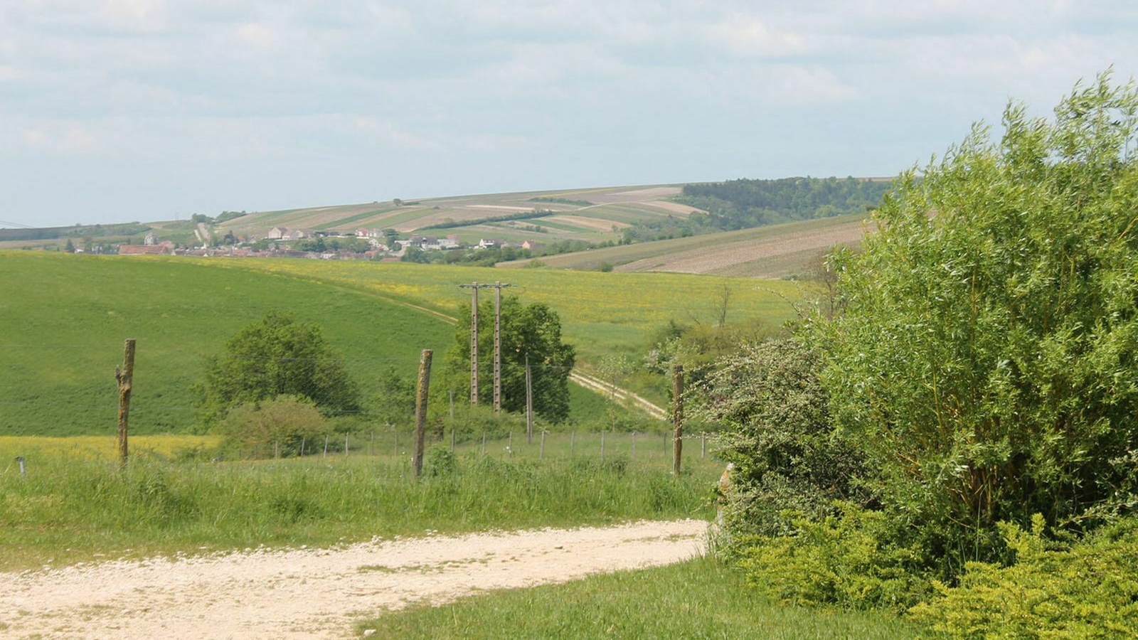 Saint Bris le Vineux - Vignobles & Panorama à E-Trott