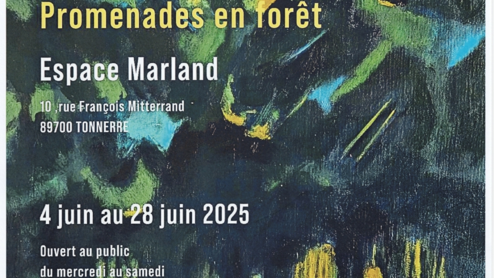 Promenades en forêt