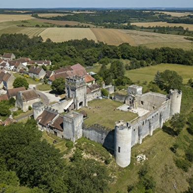 Château-Fort des Comtes d'Auxerre et de Nevers