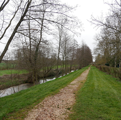 La croisée des bois - Un chemin, une école®