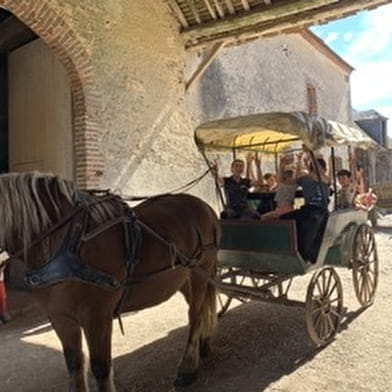 Stage à la Ferme