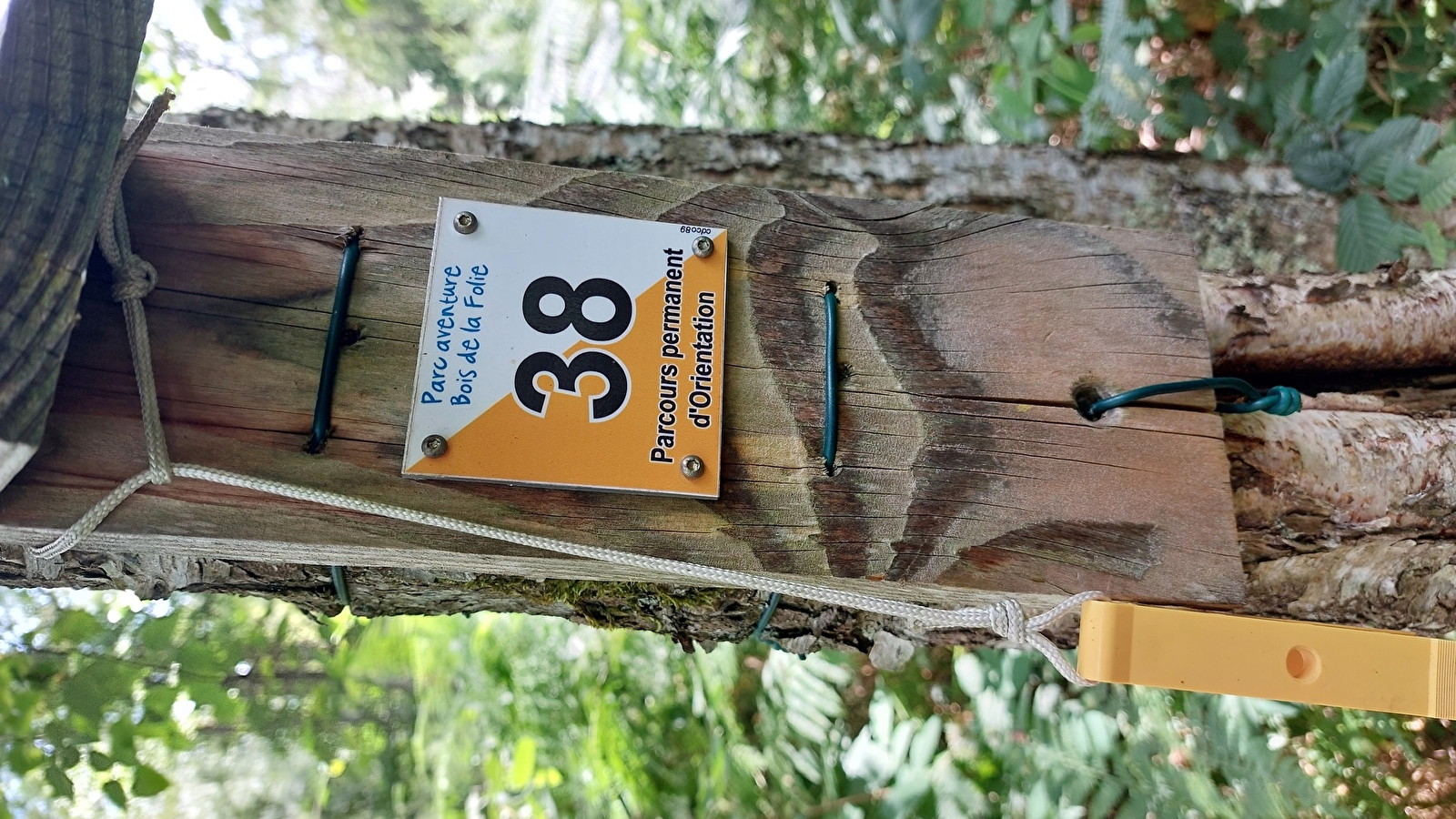 Découvre la forêt en t'amusant