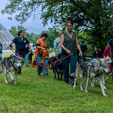 Journées des chiens-loups