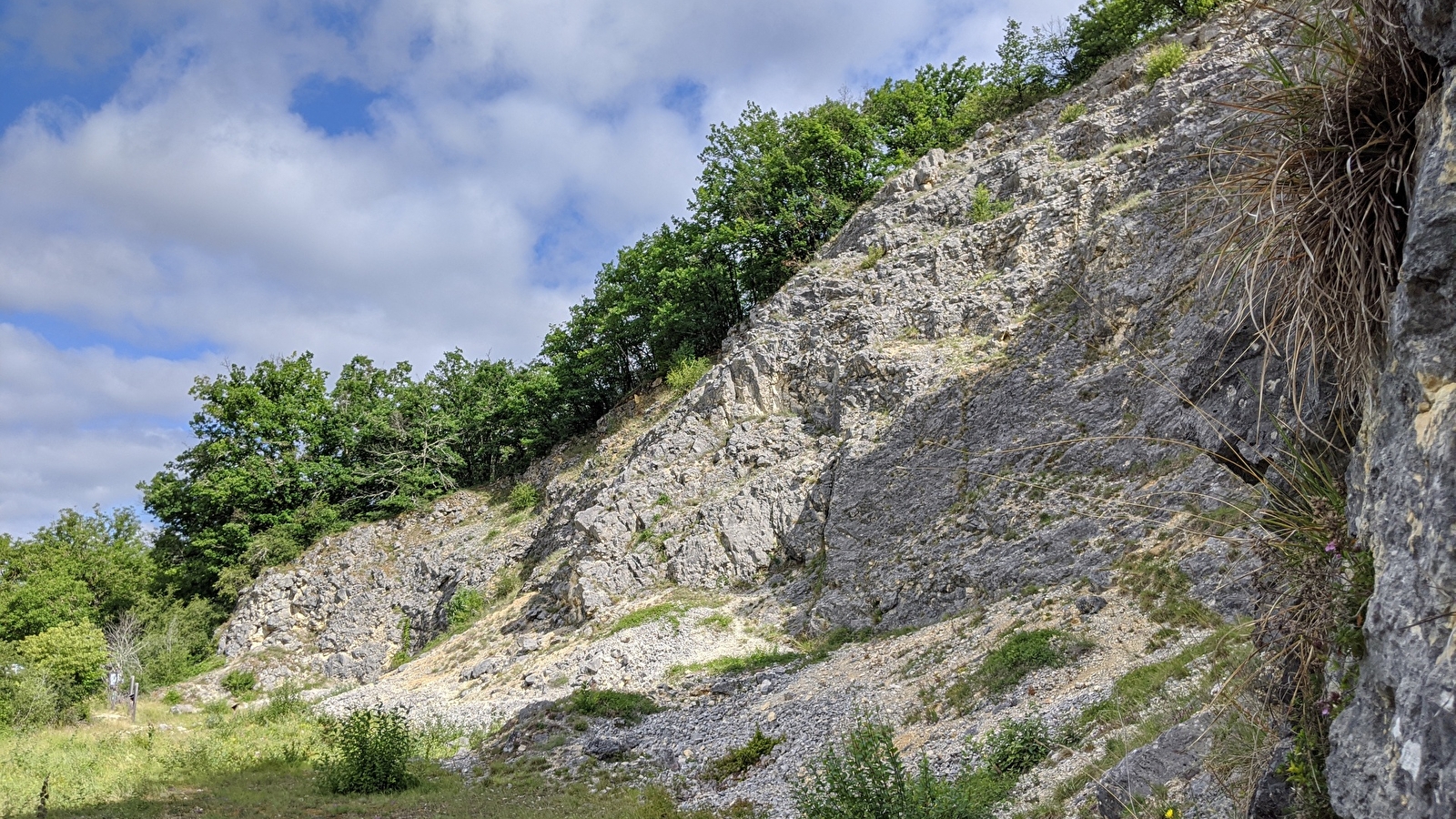 Journées Européennes du Patrimoine à la Réserve Naturelle Nationale du Bois du Parc