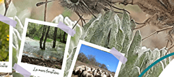 Balade découverte Natur'A - BROSSES