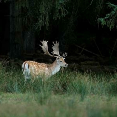 Parc naturel de Boutissaint