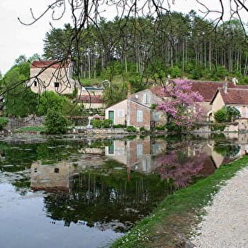 Convergence 2025 - marches Tranquilles - DRUYES-LES-BELLES-FONTAINES