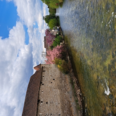 Visite-dégustation à Chablis