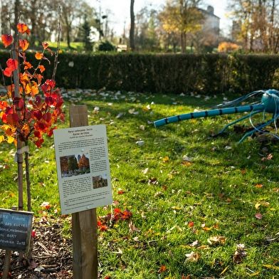 Découvre ce sentier balisé et informatif à la découverte de la nature !