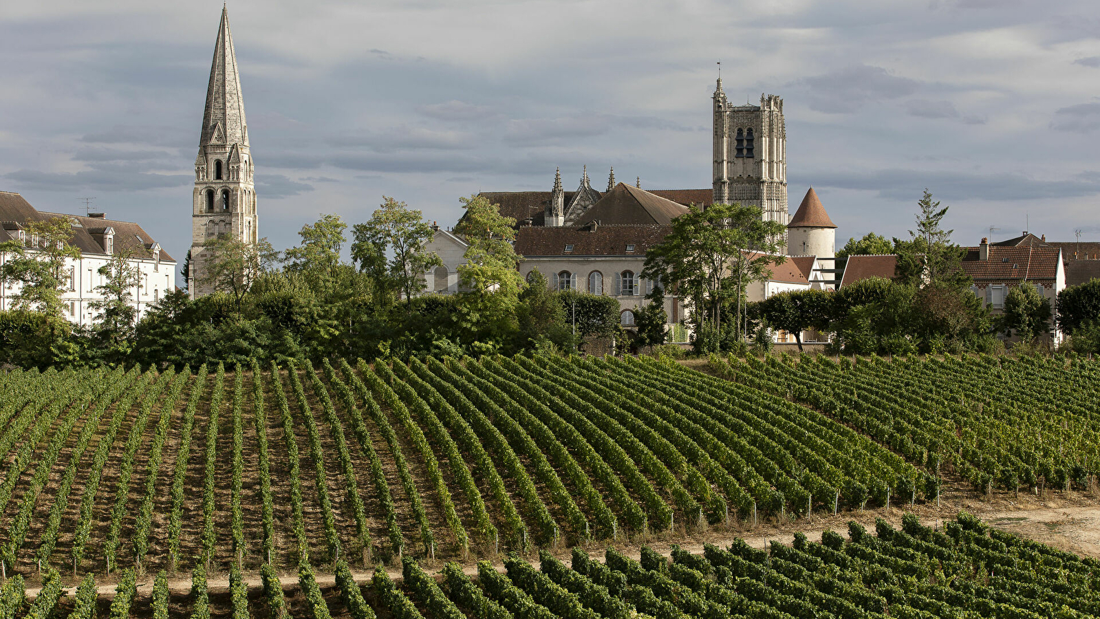 Le quartier vigneron